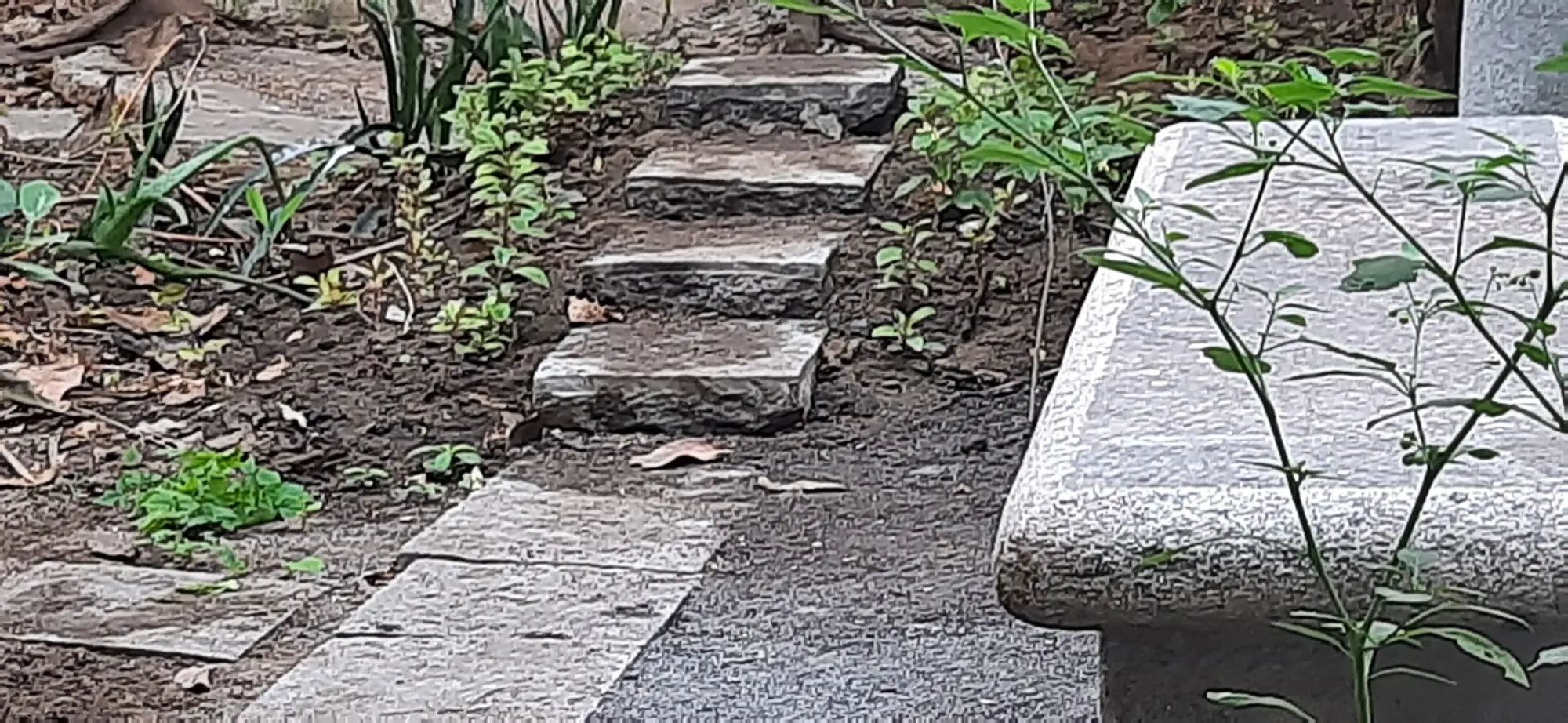 Natural stone steps